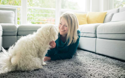 Expert Upholstery Cleaning Service